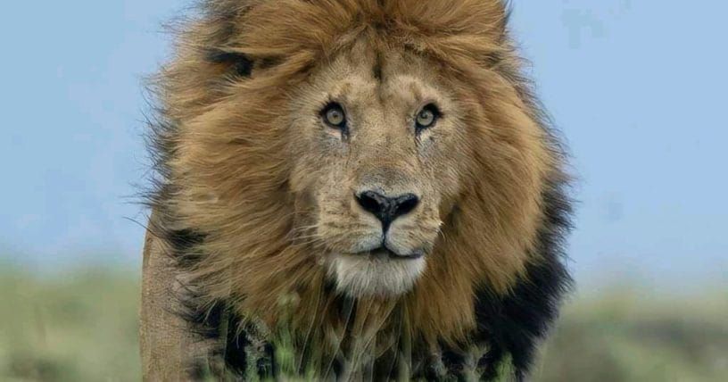 WhatsApp Image 2025-08-11 at 08.22.39