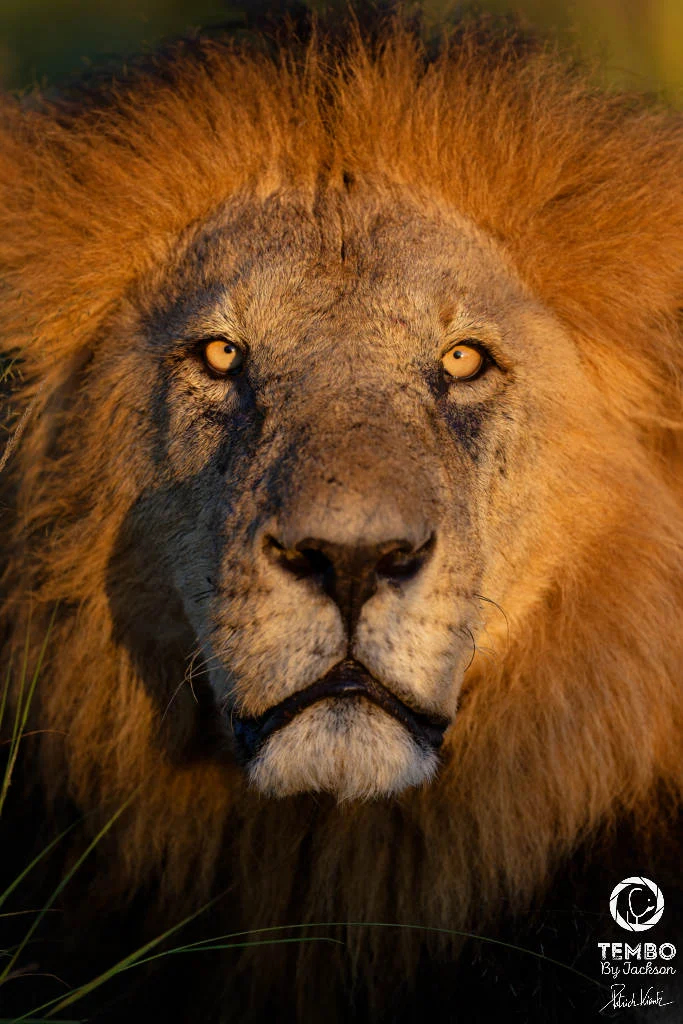 Instagram post from tembobyjackson. This post is in position 4.